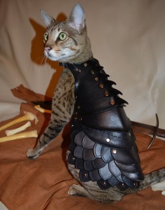 catarmor-236x300